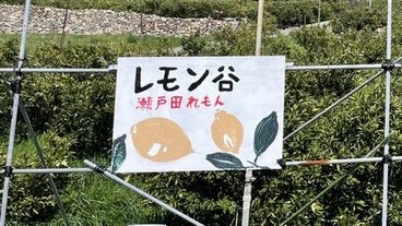 レモン谷の手書き看板