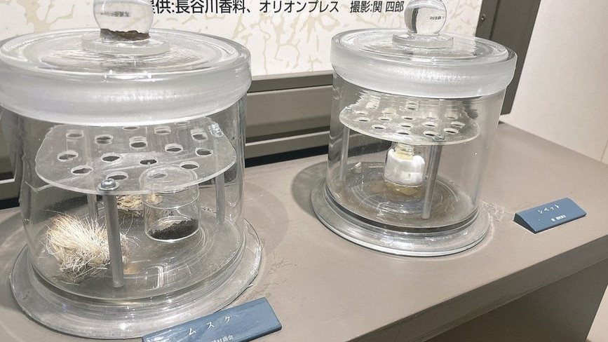 ２つのガラス容器に入った香料